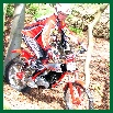 Pictures from 2012 Kenchington, click this to enlarge, to close pop-up click it.