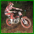 Selborne Solo 2009 rider in section 7