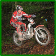 Selborne Solo 2009 rider in section 7