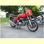 OldFossilsRun08web-03.jpg
