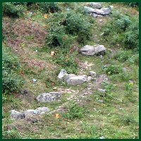 Wales Weekend 2011, Graded Hill on Section 4. Click picture to enlarge, close pop up by clicking on it.